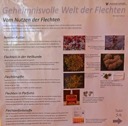 05 Vom Nutzen der Flechten - GS